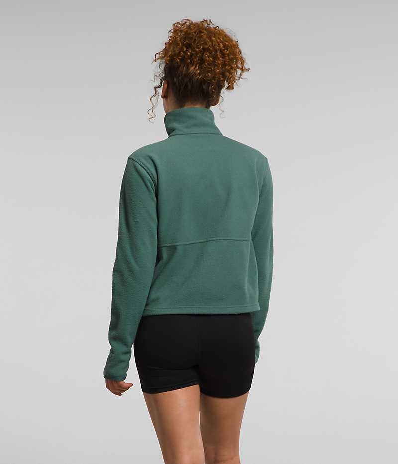 Green Women's The North Face Alpine Polartec® 100 ¼-Zip Cowl Sweatshirt | IRELAND MXNB