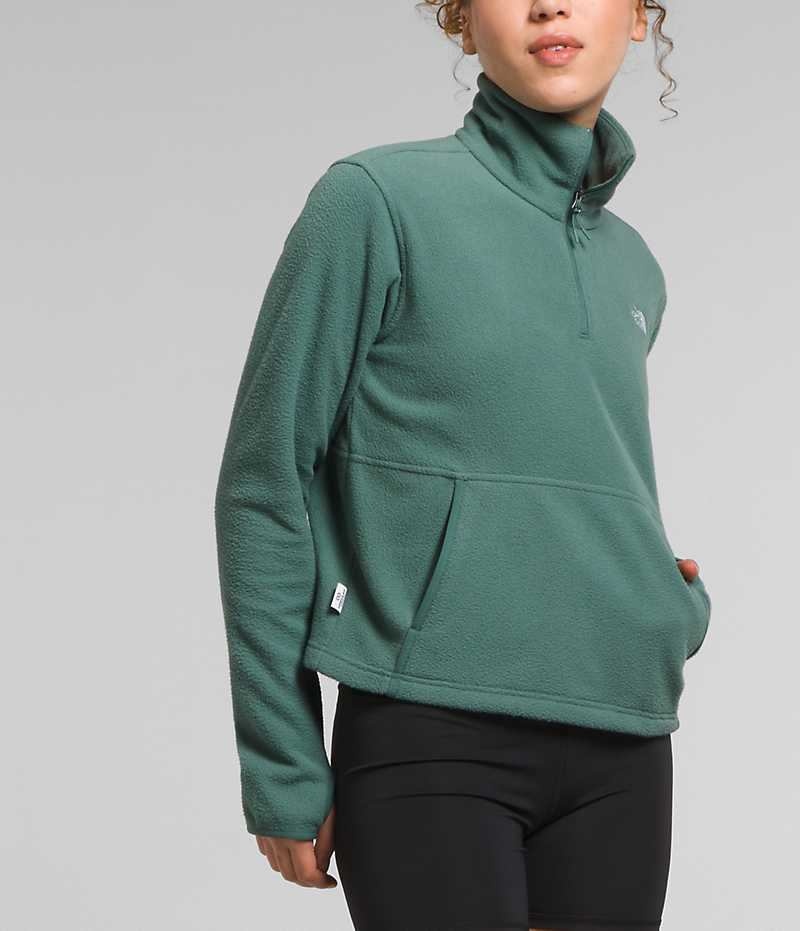 Green Women's The North Face Alpine Polartec® 100 ¼-Zip Cowl Sweatshirt | IRELAND MXNB