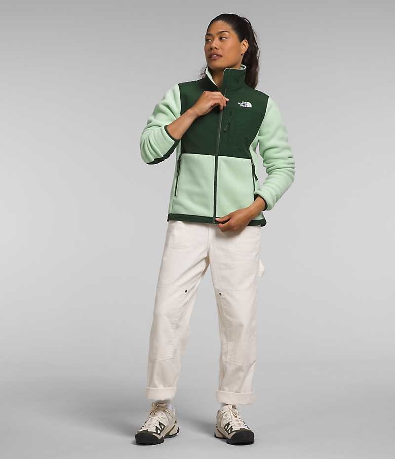 Green Women's The North Face Denali Fleece Jacket | IRELAND KGBM