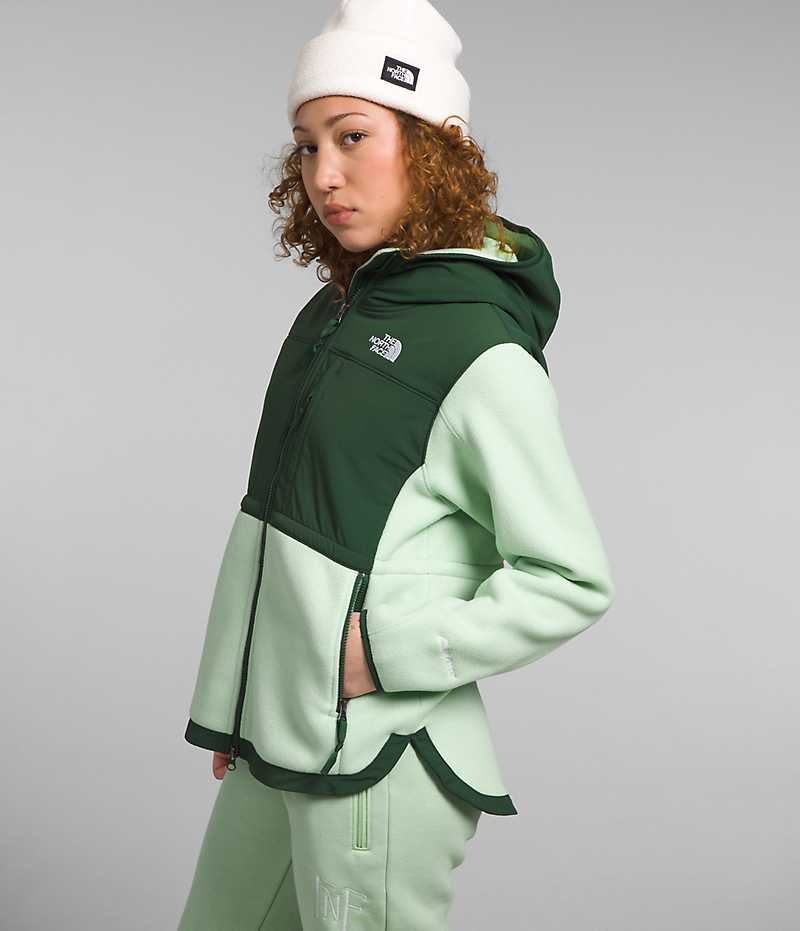 Green Women's The North Face Denali Hoodie Fleece Jacket | DUBLIN JTVU