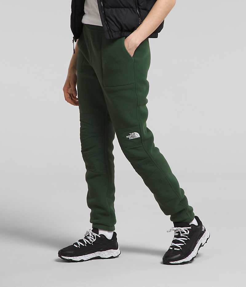 Green Women's The North Face Denali Pants | DUBLIN HUYR