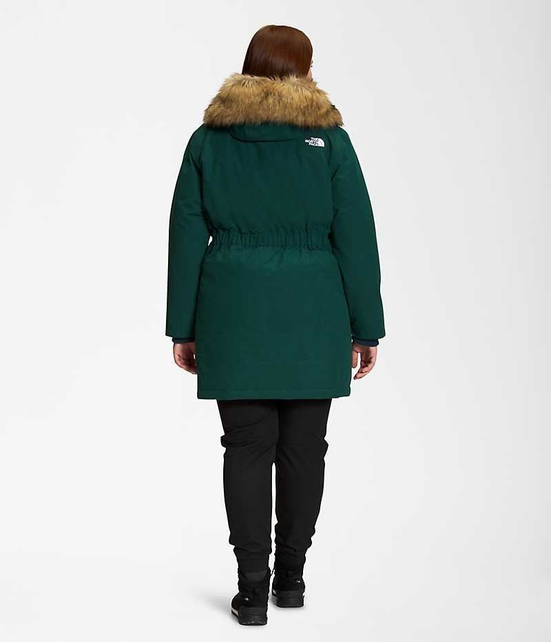 Green Women's The North Face Plus Arctic Coat | DUBLIN LMVG