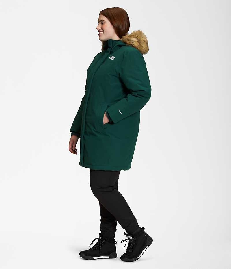 Green Women's The North Face Plus Arctic Coat | DUBLIN LMVG