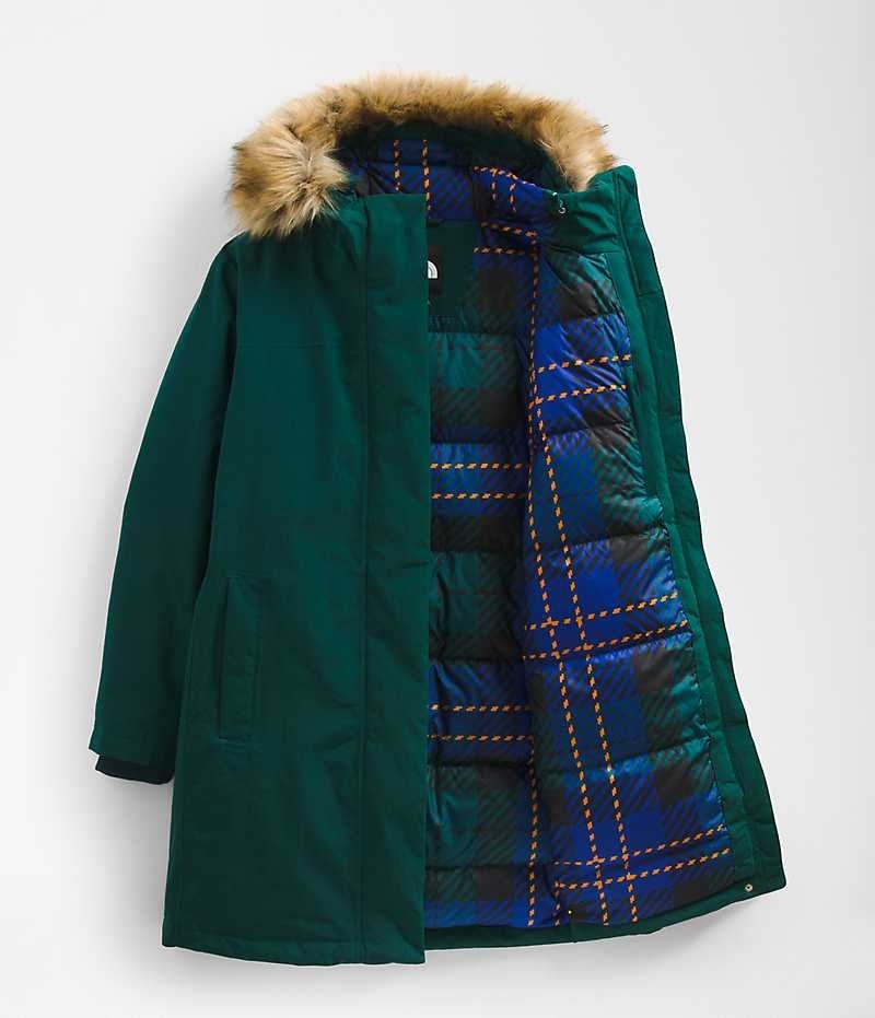 Green Women's The North Face Plus Arctic Coat | DUBLIN LMVG