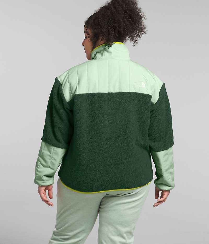 Green Women's The North Face Plus Cragmont Fleece ¼-Snap Pullover | IRELAND XQBD