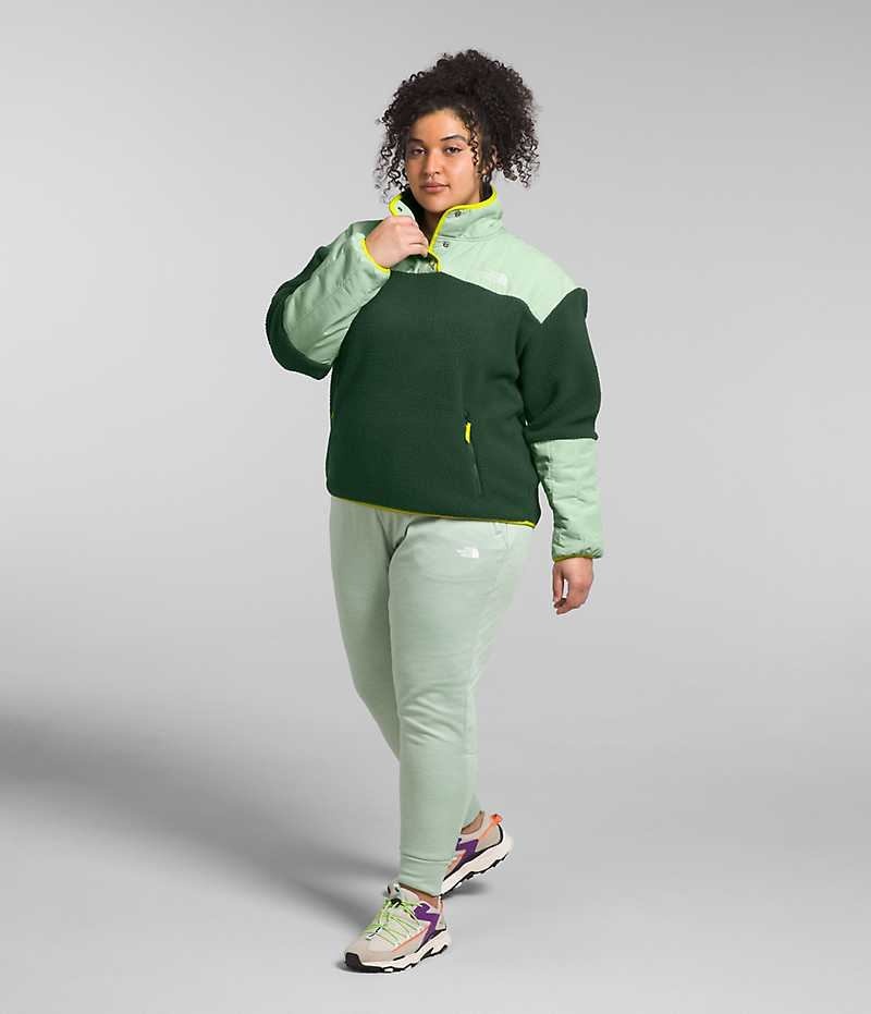 Green Women's The North Face Plus Cragmont Fleece ¼-Snap Pullover | IRELAND XQBD