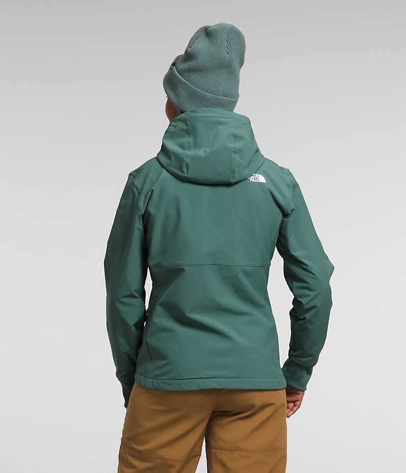 Green Women's The North Face Shelbe Raschel Hoodie Softshell Jacket | IRELAND OMAP