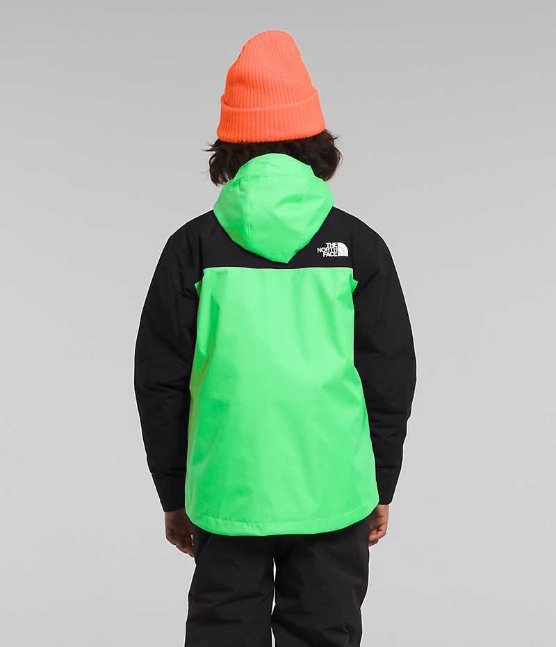 Green / Black Boys' The North Face Freedom Triclimate® Insulated Jacket | DUBLIN JNMR