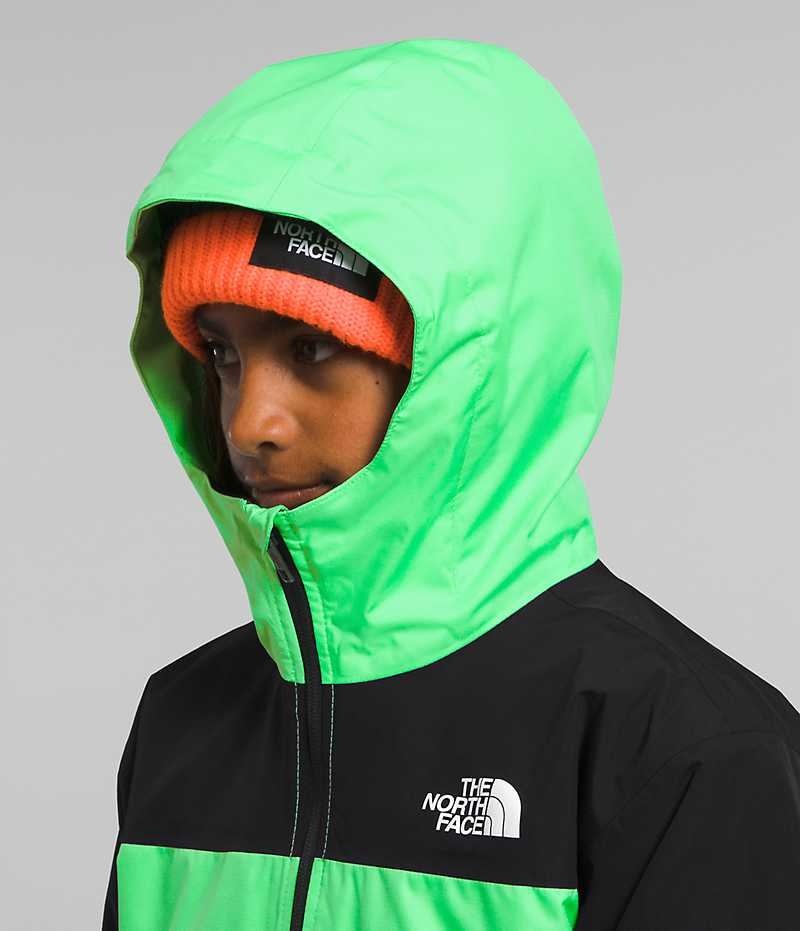 Green / Black Boys' The North Face Freedom Triclimate® Insulated Jacket | DUBLIN JNMR