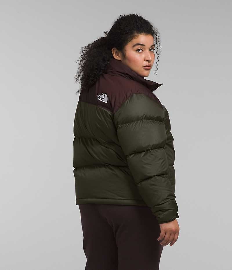 Green / Brown Women's The North Face Plus 1996 Retro Nuptse Puffer Jacket | IRELAND PMJW