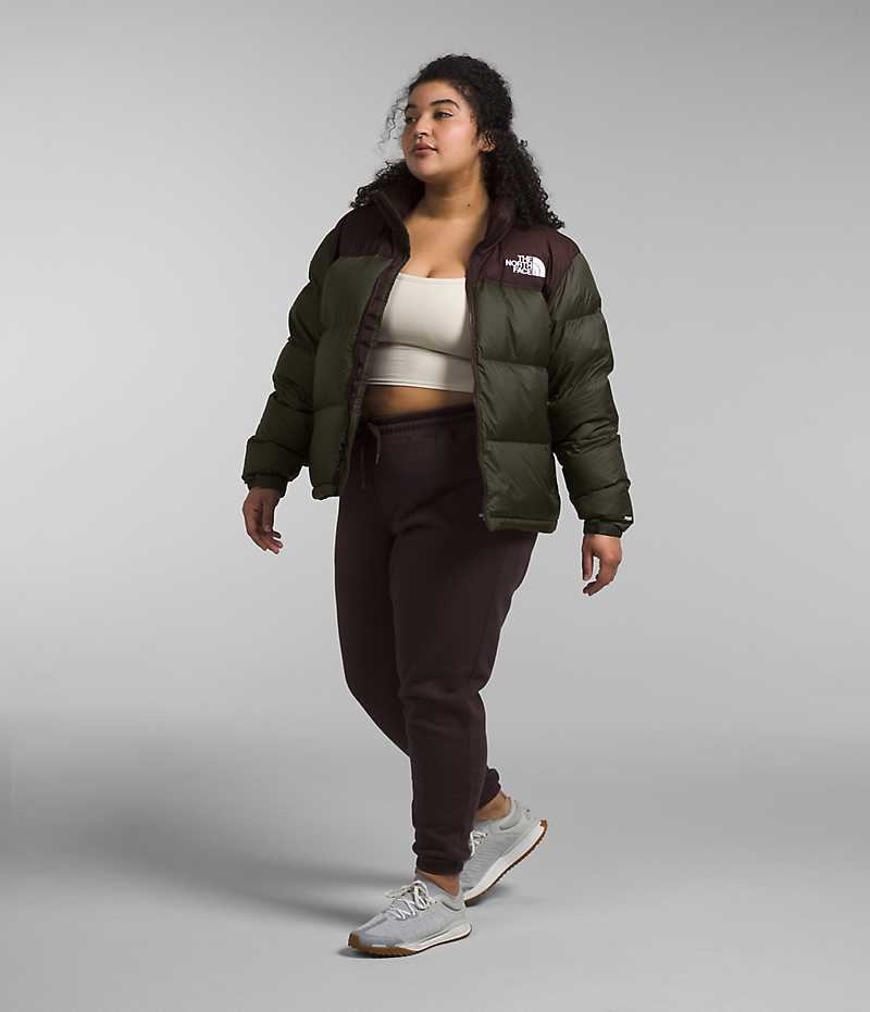 Green / Brown Women's The North Face Plus 1996 Retro Nuptse Puffer Jacket | IRELAND PMJW