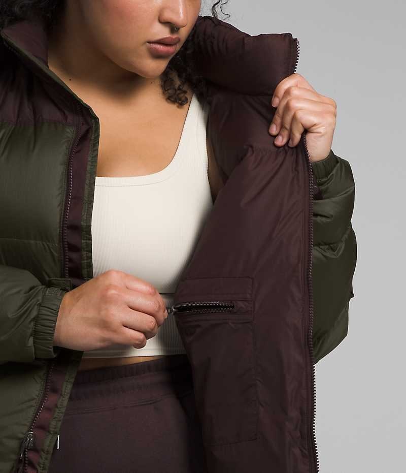 Green / Brown Women's The North Face Plus 1996 Retro Nuptse Puffer Jacket | IRELAND PMJW