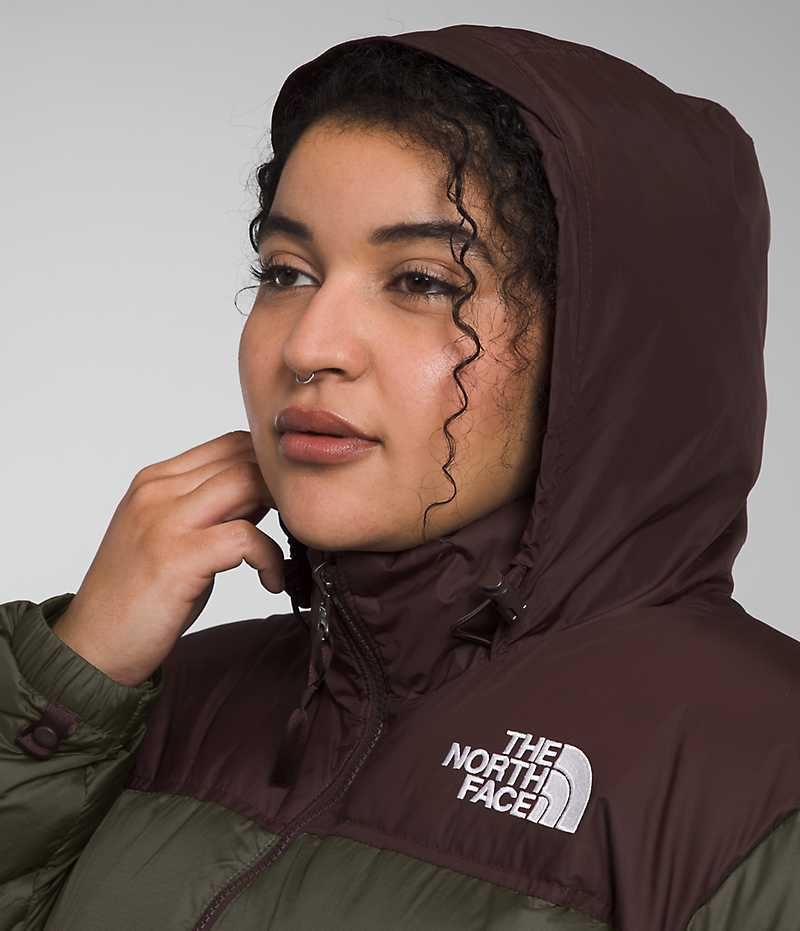 Green / Brown Women's The North Face Plus 1996 Retro Nuptse Puffer Jacket | IRELAND PMJW