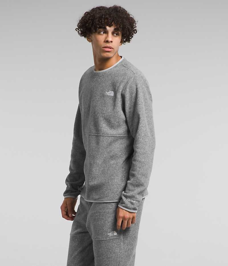 Grey Men's The North Face Alpine Polartec® 100 Crew Pullover | DUBLIN VCQD