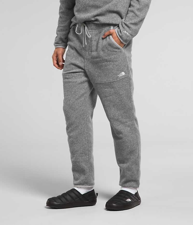 Grey Men's The North Face Alpine Polartec® 100 Fleece Pants | DUBLIN IHZQ