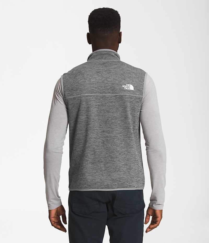 Grey Men's The North Face Canyonlands Vest | DUBLIN QEAX