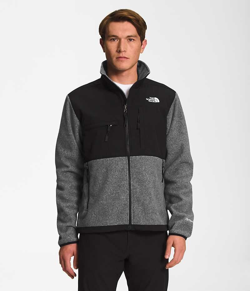 Grey Men\'s The North Face Denali Fleece Jacket | DUBLIN LXJG