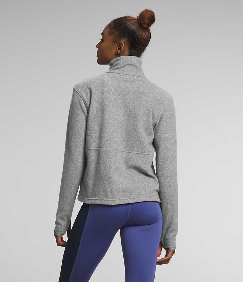 Grey Women's The North Face Alpine Polartec® 100 ¼-Zip Cowl Sweatshirt | DUBLIN HBRG