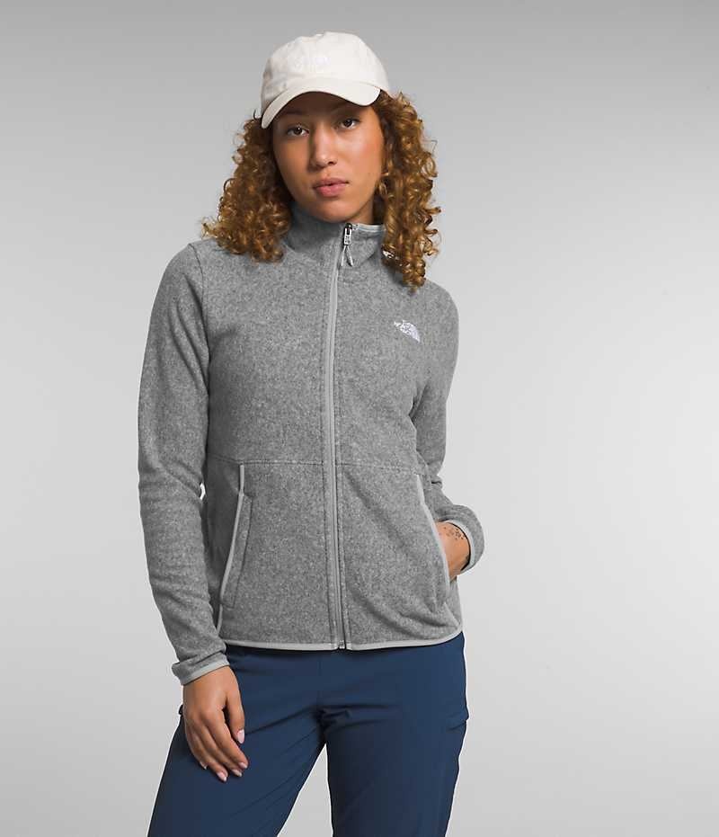 Grey Women's The North Face Alpine Polartec® 100 Fleece Jacket | DUBLIN HIZK