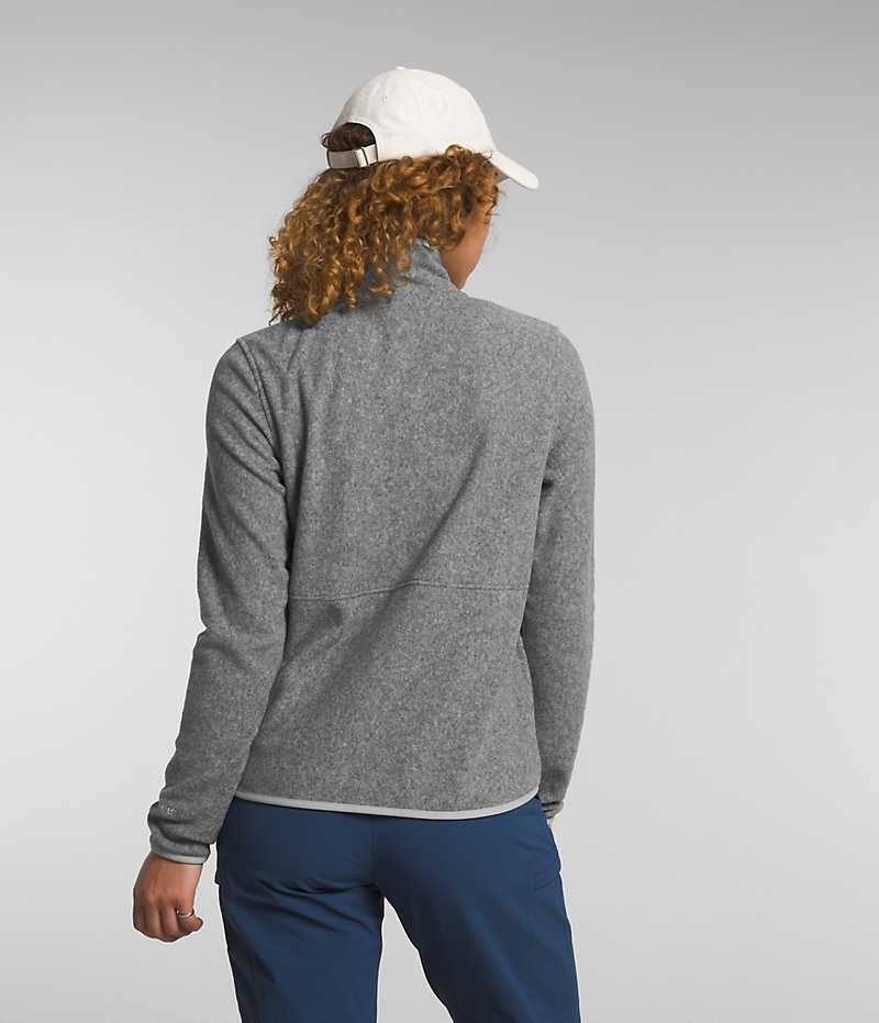 Grey Women's The North Face Alpine Polartec® 100 Fleece Jacket | DUBLIN HIZK