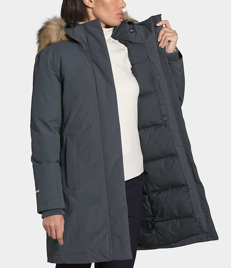 Grey Women's The North Face Arctic Coat | DUBLIN DPKN