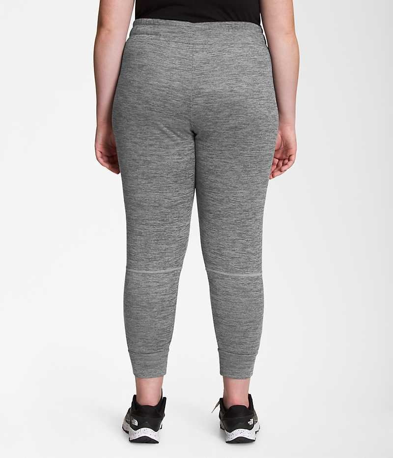 Grey Women's The North Face Plus Canyonlands Jogger | IRELAND CAEK