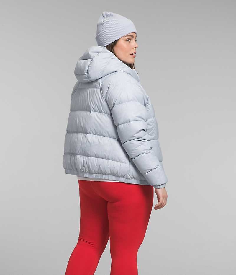 Grey Women's The North Face Plus Hydrenalite™ Hoodie Puffer Jacket | DUBLIN BITF