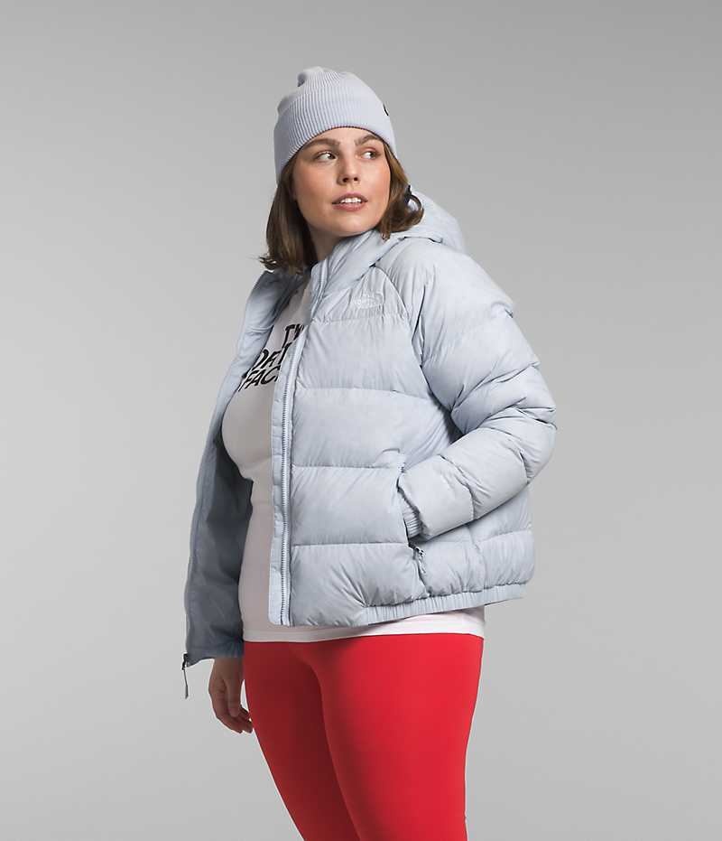 Grey Women's The North Face Plus Hydrenalite™ Hoodie Puffer Jacket | DUBLIN BITF