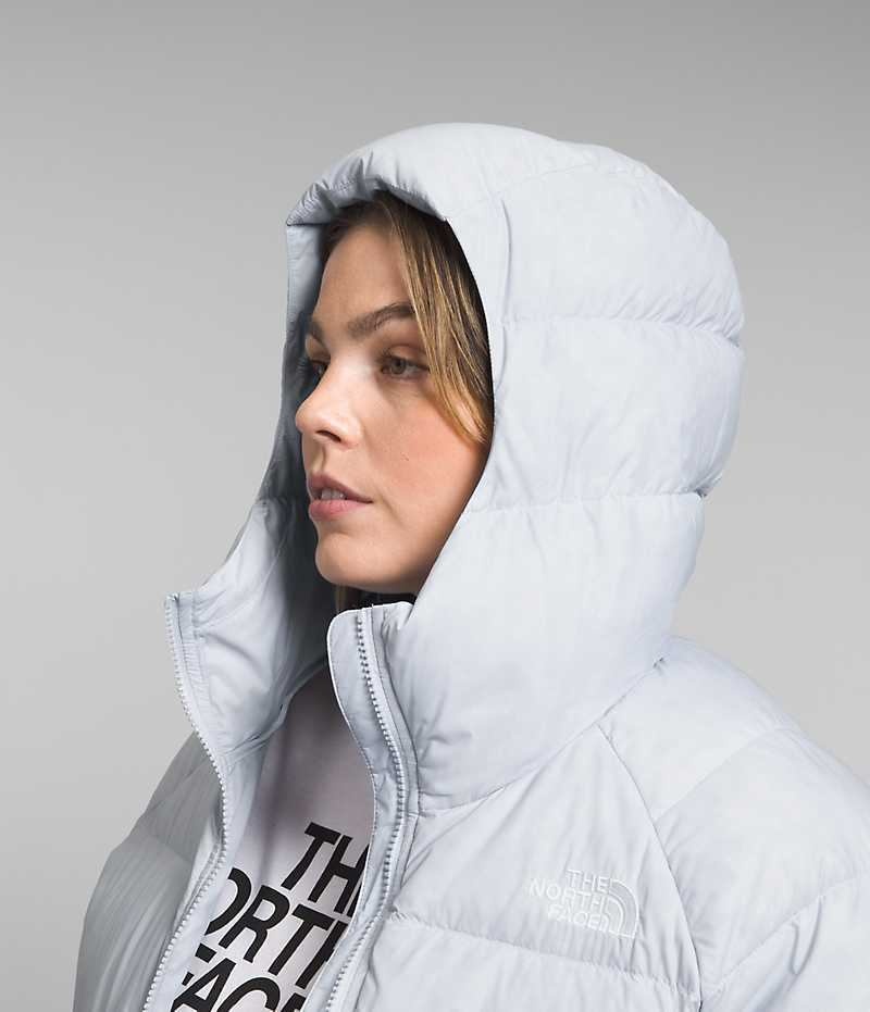 Grey Women's The North Face Plus Hydrenalite™ Hoodie Puffer Jacket | DUBLIN BITF