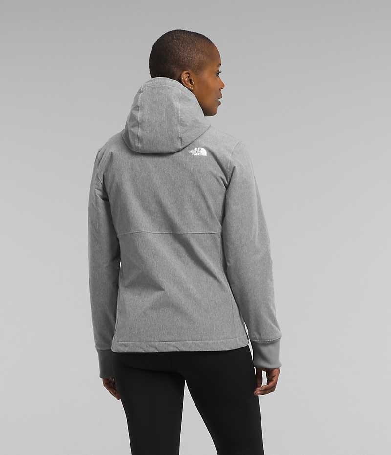 Grey Women's The North Face Shelbe Raschel Hoodie Softshell Jacket | IRELAND RTMC