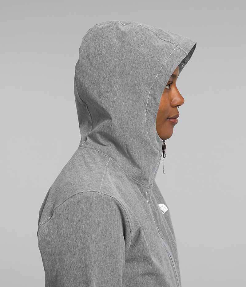 Grey Women's The North Face Shelbe Raschel Hoodie Softshell Jacket | IRELAND RTMC