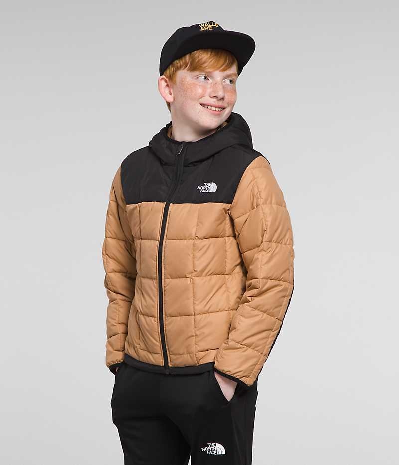 Khaki Boys' The North Face Lhotse Puffer Jacket | IRELAND POEB