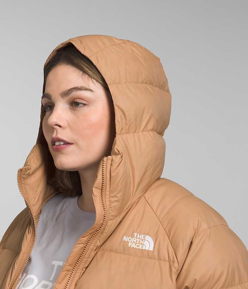 Khaki Women's The North Face Plus Hydrenalite™ Hoodie Puffer Jacket | IRELAND NWMD