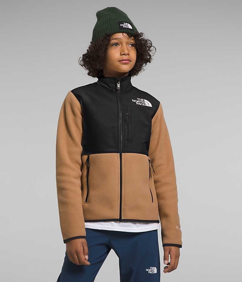 Khaki / Black Boys\' The North Face Denali Fleece Jacket | IRELAND UDCQ