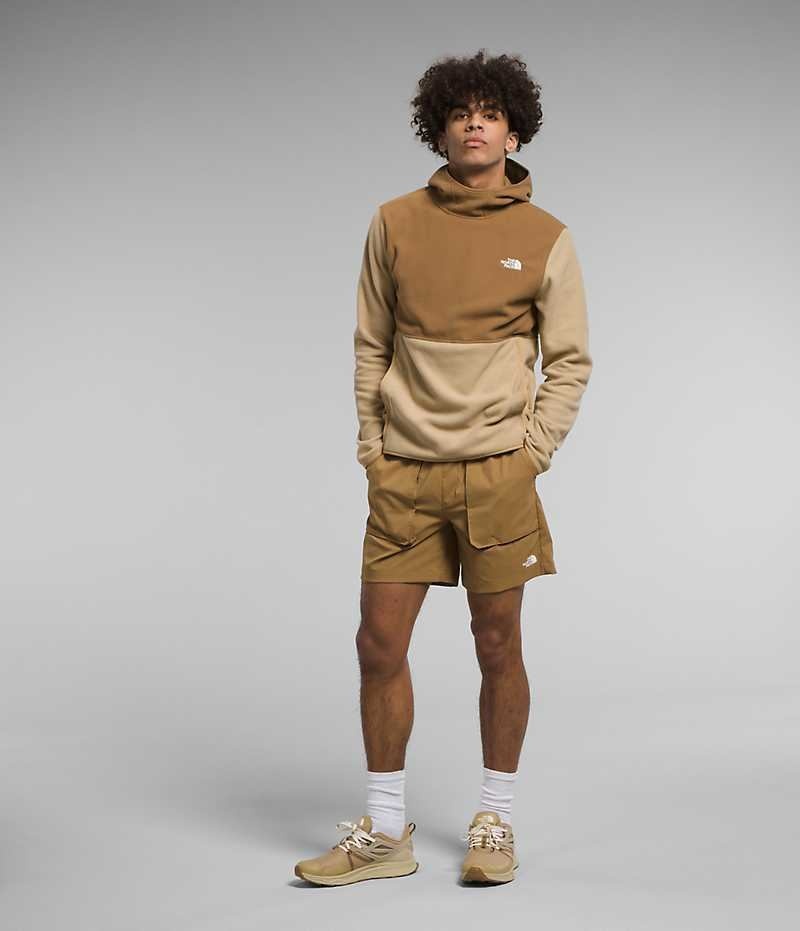 Khaki / Brown Men's The North Face Alpine Polartec® 100 Pullover | DUBLIN LMPW