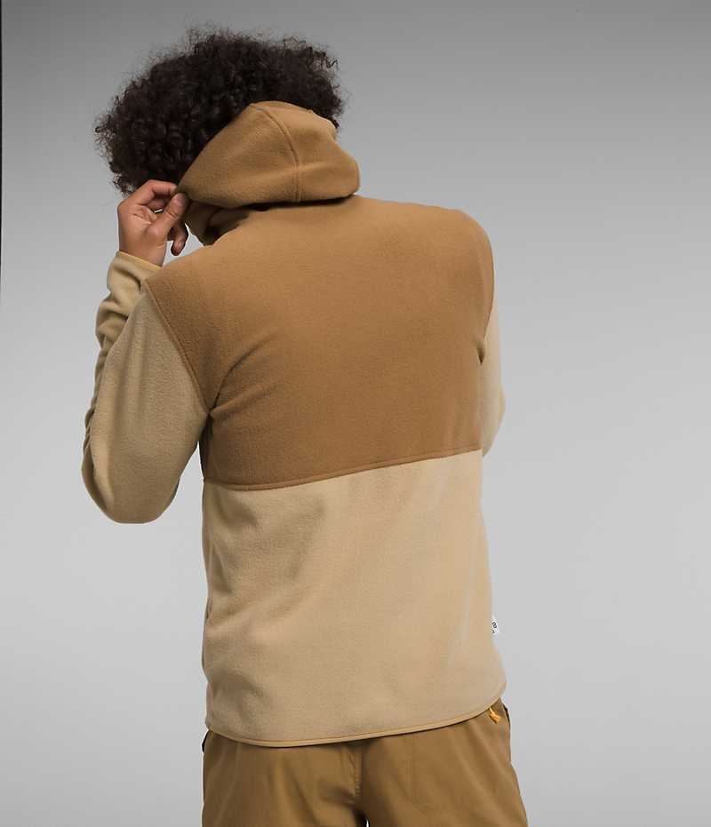 Khaki / Brown Men's The North Face Alpine Polartec® 100 Pullover | DUBLIN LMPW