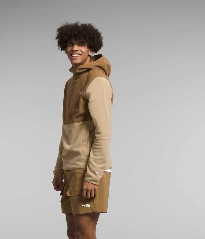 Khaki / Brown Men's The North Face Alpine Polartec® 100 Pullover | DUBLIN LMPW