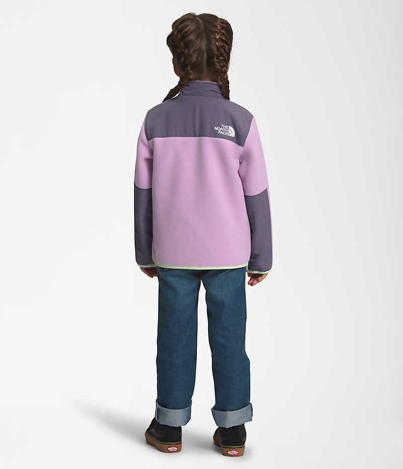 Lavender Girls'' The North Face Denali Fleece Jacket | DUBLIN NACU