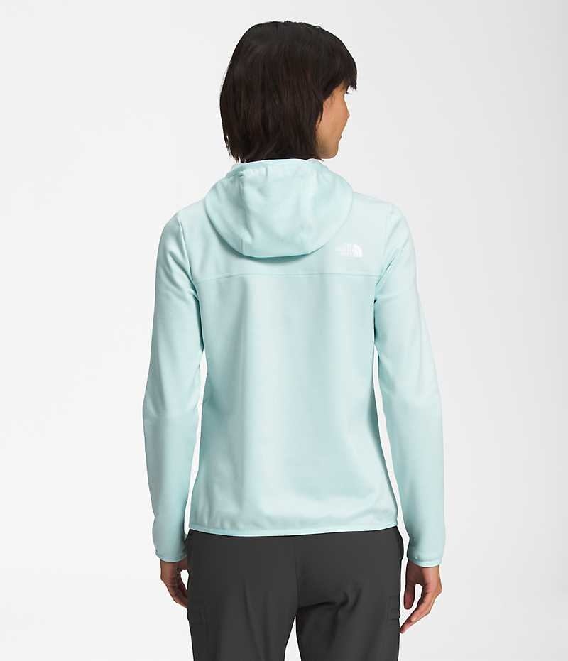 Light Blue Women's The North Face Canyonlands Hoodie Fleece Jacket | IRELAND HWQG