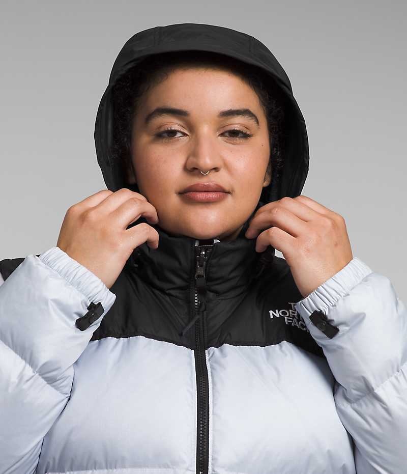 Light Blue / Black Women's The North Face Plus 1996 Retro Nuptse Puffer Jacket | IRELAND MDHC