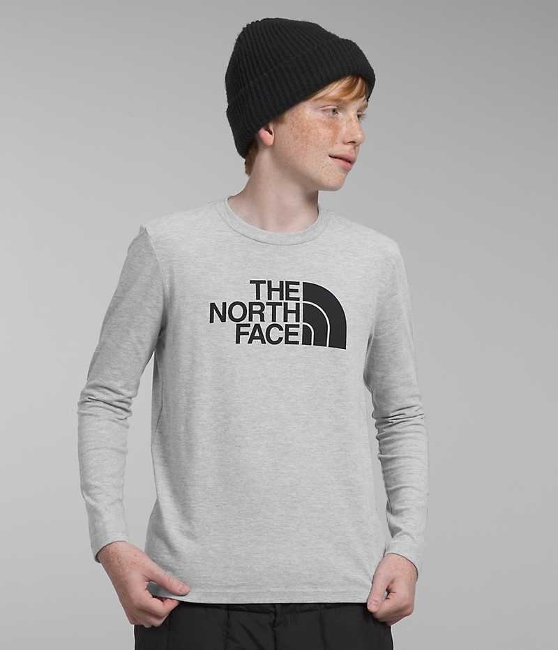 Light Grey Boys\' The North Face Long Sleeve Graphic T-Shirt | IRELAND PYFO