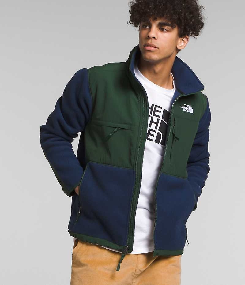 Navy / Green Men\'s The North Face Denali Fleece Jacket | IRELAND EDXL