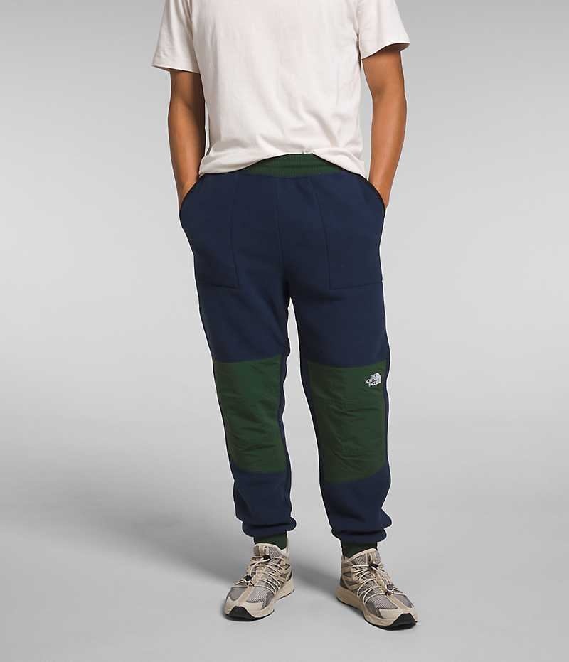 Navy / Green Men\'s The North Face Denali Fleece Pants | IRELAND AQNV