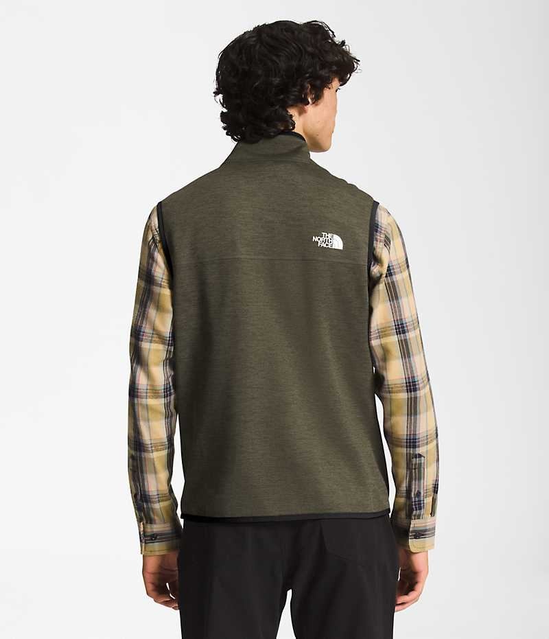 Olive Men's The North Face Canyonlands Vest | DUBLIN YKBG