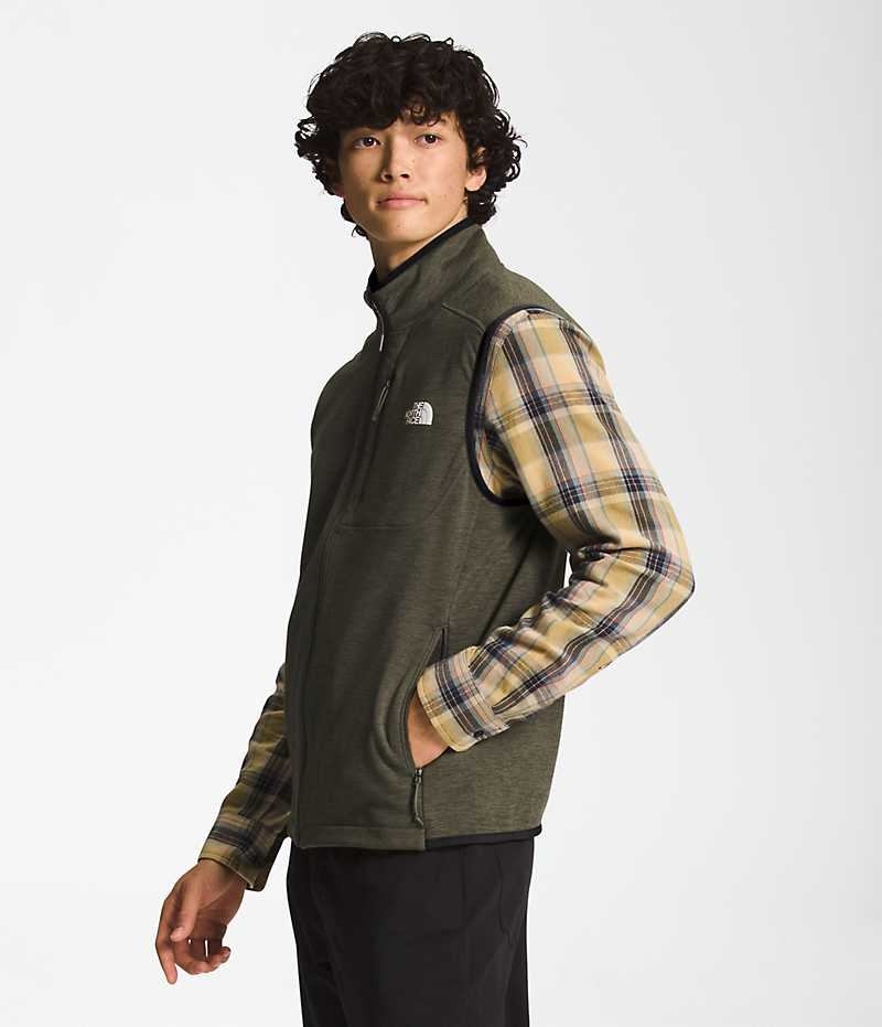 Olive Men's The North Face Canyonlands Vest | DUBLIN YKBG