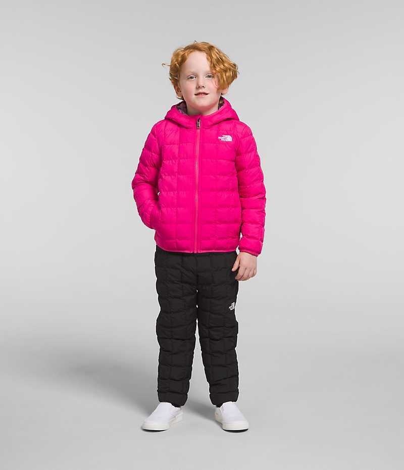 Pink Boys\' The North Face Reversible ThermoBall™ Hooded Puffer Jacket | DUBLIN HWAC