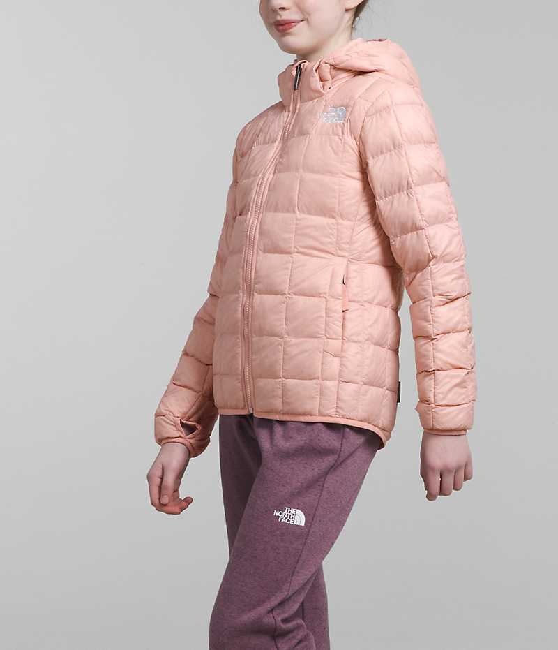 Pink Girls'' The North Face ThermoBall™ Hooded Puffer Jacket | DUBLIN YPIZ