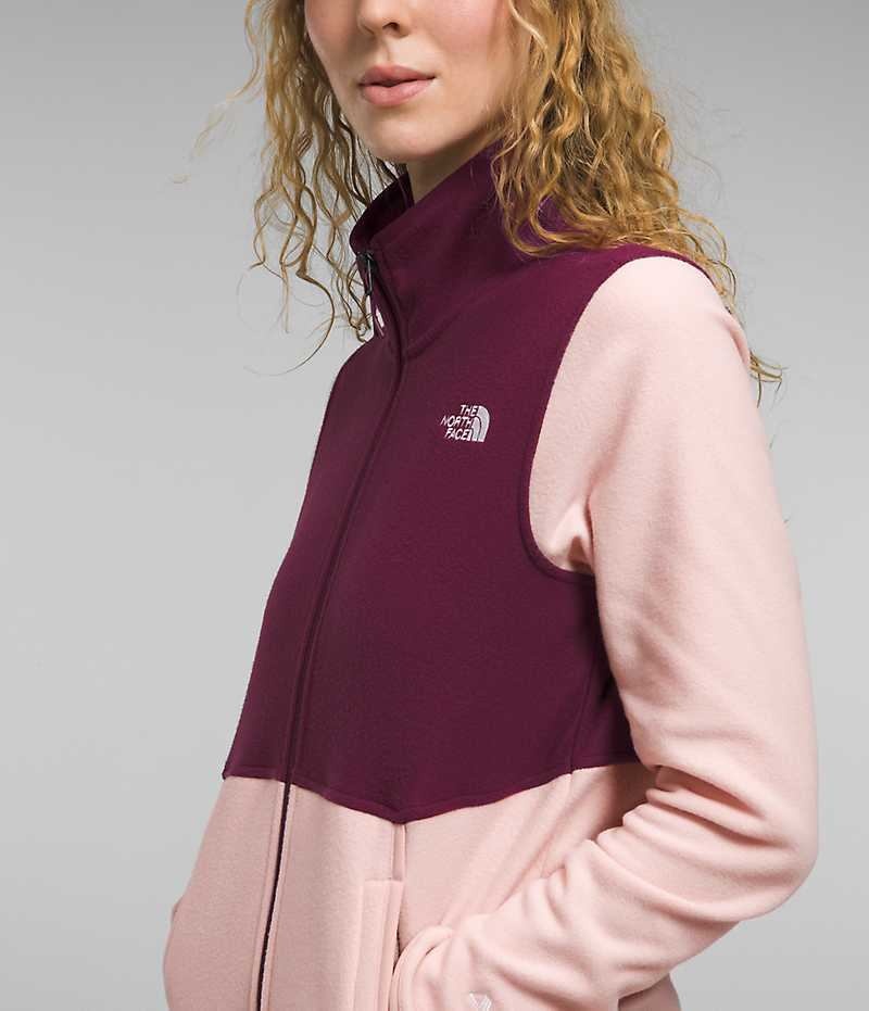 Pink Women's The North Face Alpine Polartec® 100 Fleece Jacket | IRELAND TMKJ