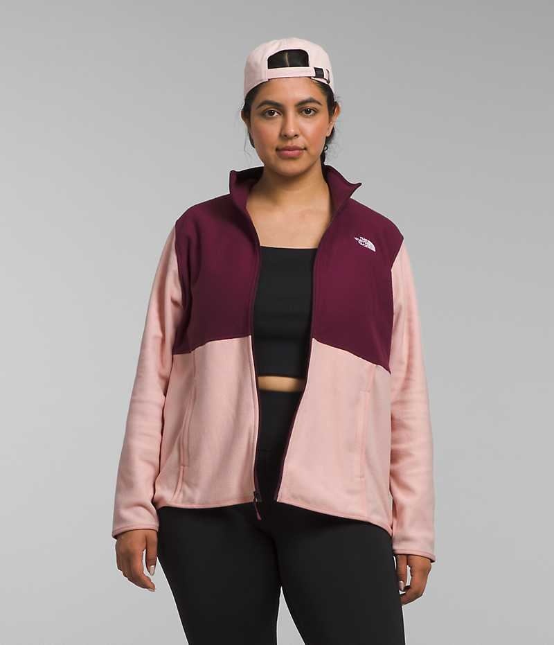 Pink Women\'s The North Face Plus Alpine Polartec® 100 Fleece Jacket | DUBLIN QSTD