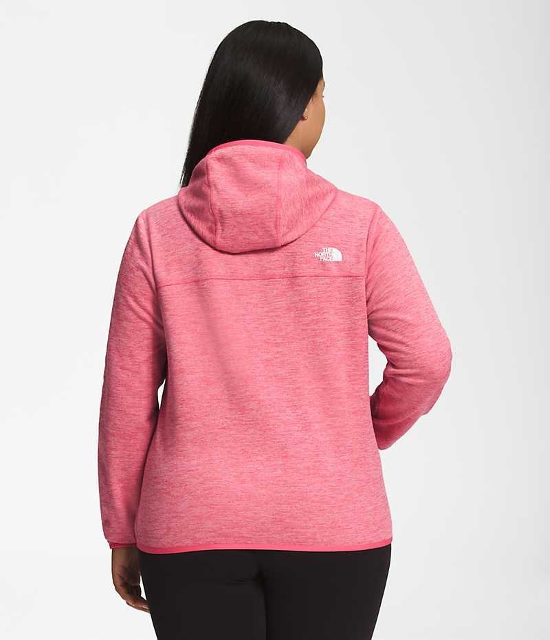 Pink Women's The North Face Plus Canyonlands Hoodie Fleece Jacket | DUBLIN VIXL